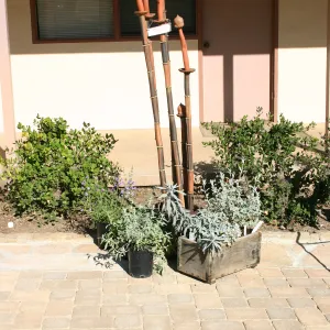 Garden Growers Celebration