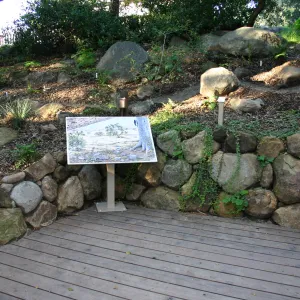 Discovery Garden, oak woodland interpretation deck
