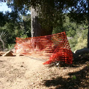 orange mesh fencing, Campbell Trail closed