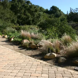 new paved pathway along the top of the Meadow