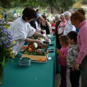 SBBG 80th Birthday Celebration, serving cake