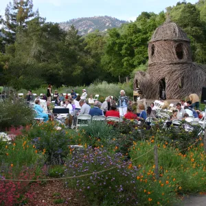 SBBG 80th Birthday Celebration, in the Meadow with Toad Hall in the background