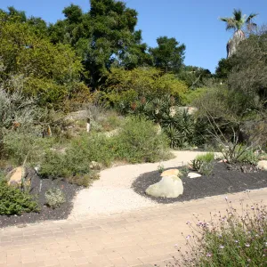 Desert Section, lava rock gravel