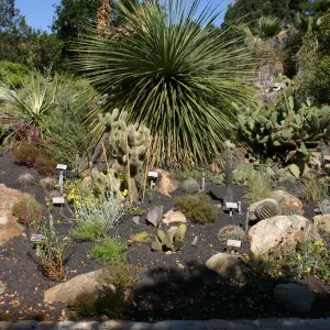 Desert Section, lava rock gravel