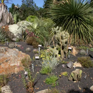 Desert Section, lava rock gravel