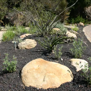 Desert Section, lava rock gravel
