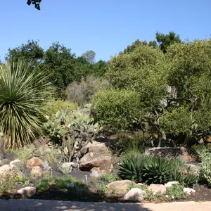Desert Section, lava rock gravel