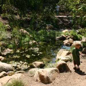 Discovery Garden, child
