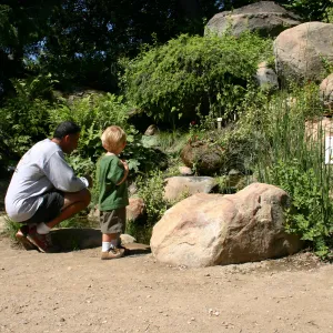 Discovery Garden, parent and child