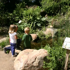 Discovery Garden, children