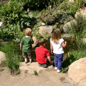 Discovery Garden, children