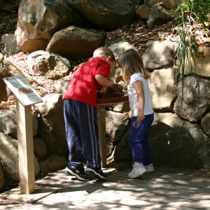 Discovery Garden, children