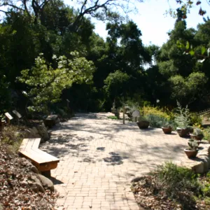 Discovery Garden pavered patio in the Arroyo, SBBG event location