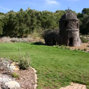 Meadow lawn, SBBG event location