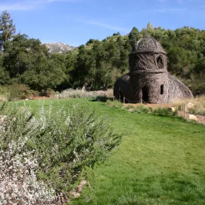 Meadow lawn, SBBG event location