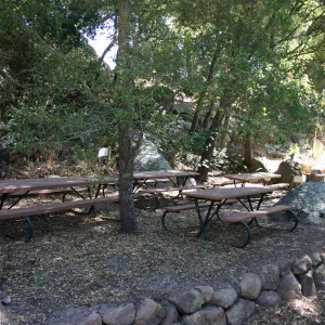Picnic Area along the Campbell Trail, SBBG event location