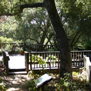 Home Demonstration Deck, SBBG event location