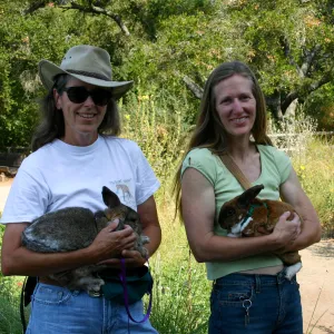 bunny agility presentation by BUNS at SBBG Nature Camp