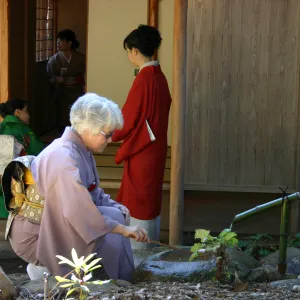 Tea Ceremony, SBBG Tea House