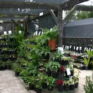 Garden Growers Nursery, Fall Plant Sale Pre-Sale event, 2006