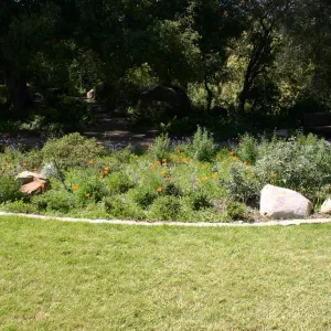 Meadow Border planting