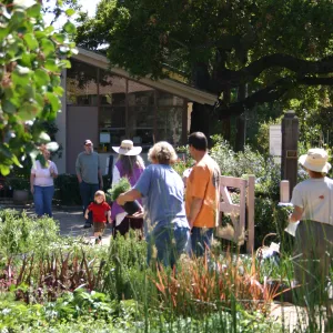 Plant Sale setup in the Courtyard