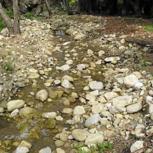 Mission Creek above dam show heavy siltation after fire