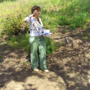 One year after Jesusita Fire - Cypress Section. Betsy Collins