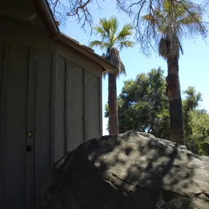 Information Kiosk with two palms, SBBG 2 years after the Jesusita Fire