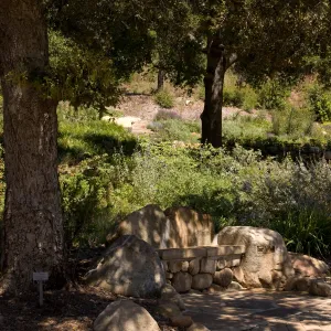 pavered path along the upper Meadow, new stone bench, SBBG 2 years after the Jesusita Fire