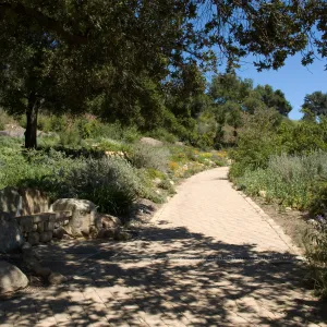 pavered path along the upper Meadow, new stone bench, SBBG 2 years after the Jesusita Fire