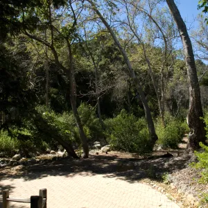 base of path to the Redwood Section, SBBG 2 years after the Jesusita Fire