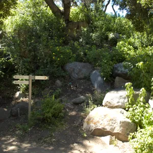 Pritchett Trail directional sign, SBBG 2 years after the Jesusita Fire