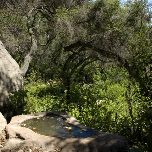 rock pool, view to the spiral bench in the Canyon from the Pritchett Trail, SBBG 2 years after the Jesusita Fire