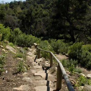 stone staircase to the Campbell Trail, SBBG 2 years after the Jesusita Fire