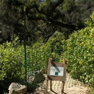 Campbell Trail closed to the Campbell Bridge, SBBG 2 years after the Jesusita Fire