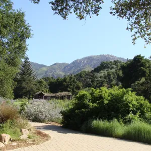 Meadow and mountain view from the Blaksley Boulder, Meadow pond, Herb Parker sculpture, SBBG 2 years after the Jesusita Fire