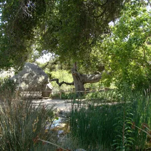 Meadow pond, Blaksley Boulder, Information Kiosk, SBBG 2 years after the Jesusita Fire