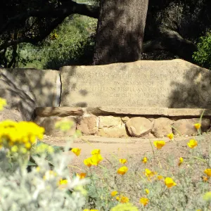 stone bench, Bissell Bench on the edge of the Meadow, SBBG 2 years after the Jesusita Fire
