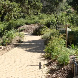 pavered path to the Redwood Section and the Woodland Trail at the top of the Meadow, directional sign, SBBG 2 years after the Jesusita Fire