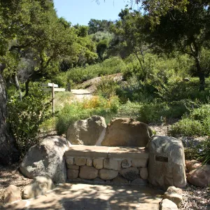 new stone bench at the top of the Meadow, Meadow View, SBBG 2 years after the Jesusita Fire