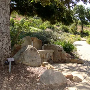 new stone bench at the top of the Meadow, Meadow View, SBBG 2 years after the Jesusita Fire