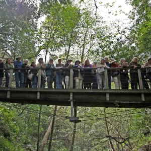 SBBG Docents on the Campbell Bridge, view of bridge span across Mission Creek