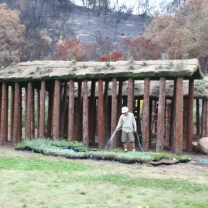 SBBG Fire Walk in the Garden, one month after Jesusita Fire, Herb Parker sculpture