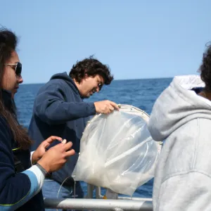 TEAWET, Santa Cruz Island field trip, 2009