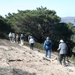 Santa Rosa Island, SBBG field trip