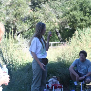 BUNS demonstration in the Meadow, SBBG Summer Nature Camp, 2006