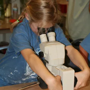 using microscopes in the Arroyo Room, SBBG Summer Nature Camp, 2006
