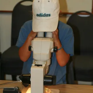 using microscopes in the Arroyo Room, SBBG Summer Nature Camp, 2006