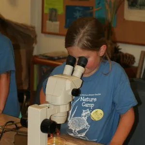 using microscopes in the Arroyo Room, SBBG Summer Nature Camp, 2006